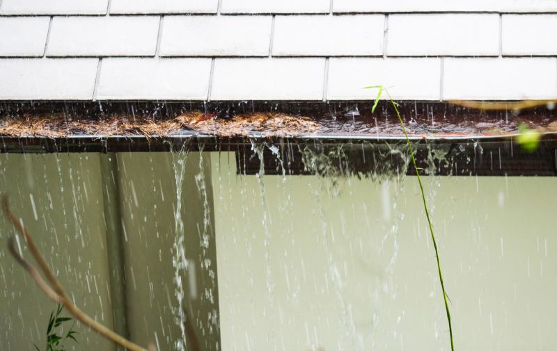 Gutter Cleaning