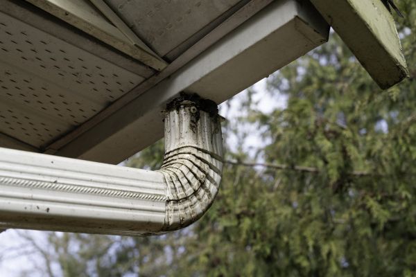 Cost of Roof Drain Replacement in Boise